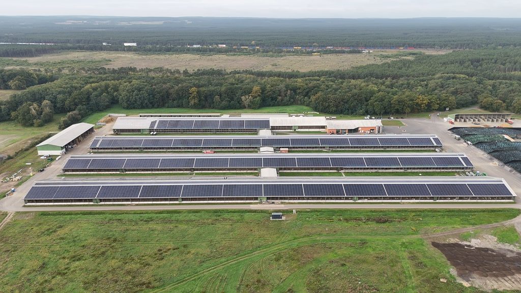 dji fly 20251007 101324 0 1759824804201 photo low quality